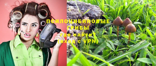a pvp Арсеньев