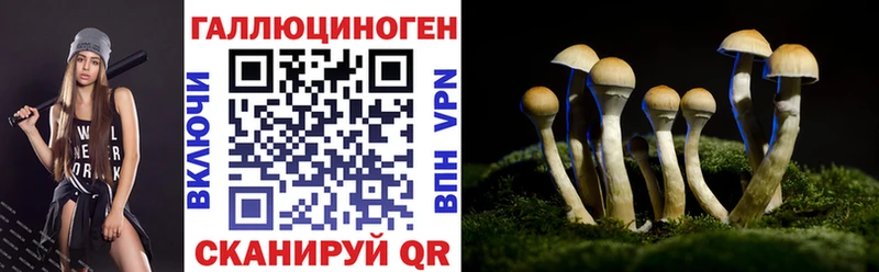 Галлюциногенные грибы прущие грибы mega как войти Чебоксары